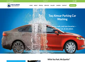 TOQAL MSAR website design by Lahari Technologies